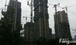 武汉万科爆料最新消息,揭秘全新项目亮点与进展