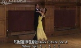 艾丽莎最新爆料视频大全,揭秘娱乐圈幕后真相