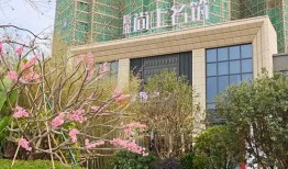 西安催收最新爆料电话,最新爆料电话揭露行业乱象