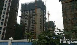 武汉万科爆料最新消息,揭秘全新项目亮点与进展