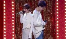 吴昕和郑凯最新爆料消息,揭秘娱乐圈幕后故事