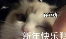 猫之城最新爆料视频大全,最新爆料视频大盘点